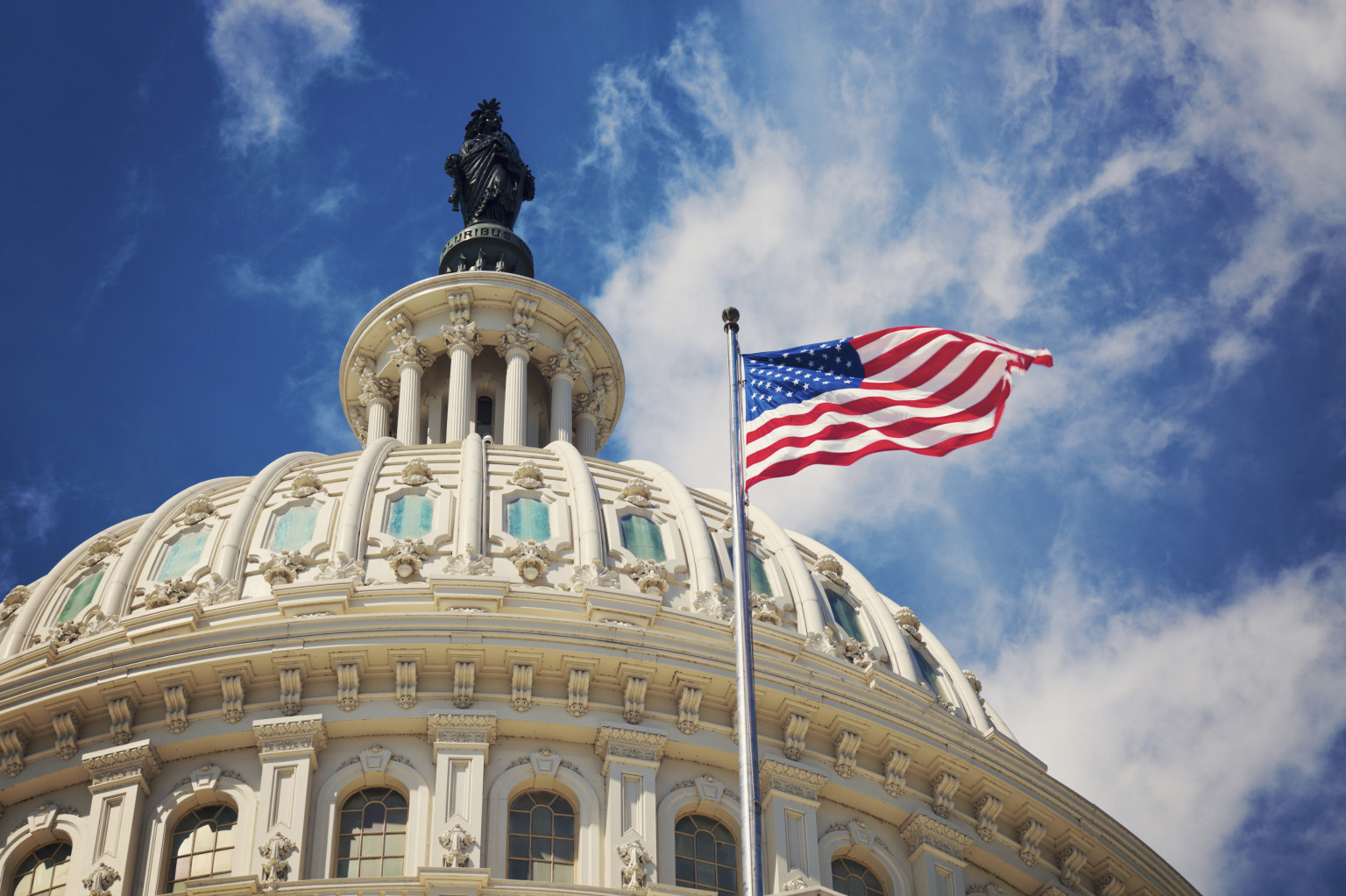 American Flag Capitol Dome FOIA