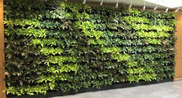 S & H Interiorscapes Living Wall