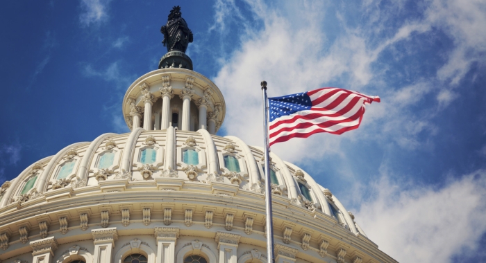 American Flag Capitol Dome FOIA