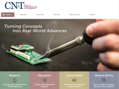 Responsive Site for Neuroengineering and Therapeutics