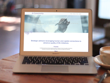 Concinnity Homepage with Navigation Menu, brand identity and brand message