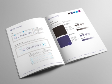 Concinnity Brand Standards Manual Logo and Color Palette