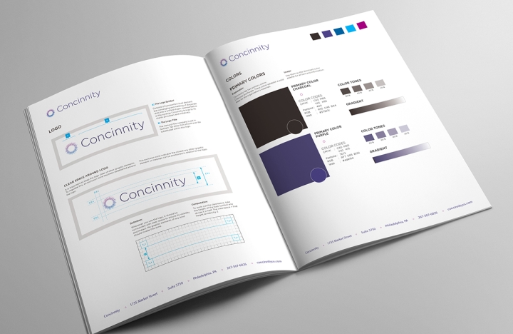 Concinnity Brand Standards Manual Logo and Color Palette